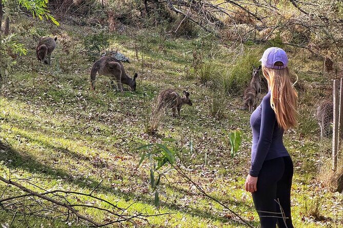 Blue Mountains Helicopter and 4WD Eco Tour Experience - FAQ