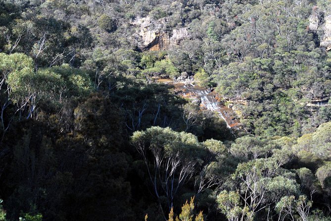 Blue Mountains Highlights - Aboriginal Cultural Tours and Performances