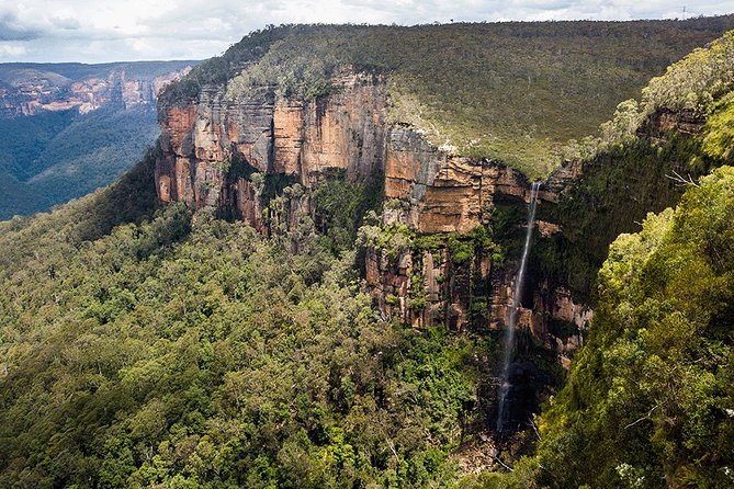 Blue Mountains Highlights & Wildlife Park - Featherdale Wildlife Park