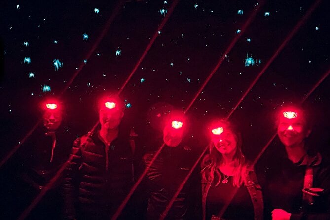 Blue Mountains Hiking Glow Worms Cave Wildlife Spotlighting Night Adventure - Important Information: Pricing, Booking, and Terms