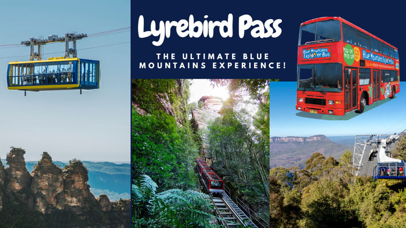 Blue Mountains Hop-On-Hop-Off Bus Pass with optional Scenic World Tickets - Start at Katoomba station, then choose your pace