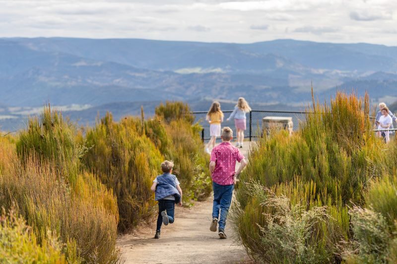 Blue Mountains Hop-On-Hop-Off Bus Pass with optional Scenic World Tickets - Weather, timing and practical details