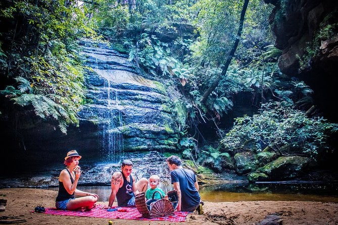 Blue Mountains Hop On Hop Off Tour - Weather and Tour Experience