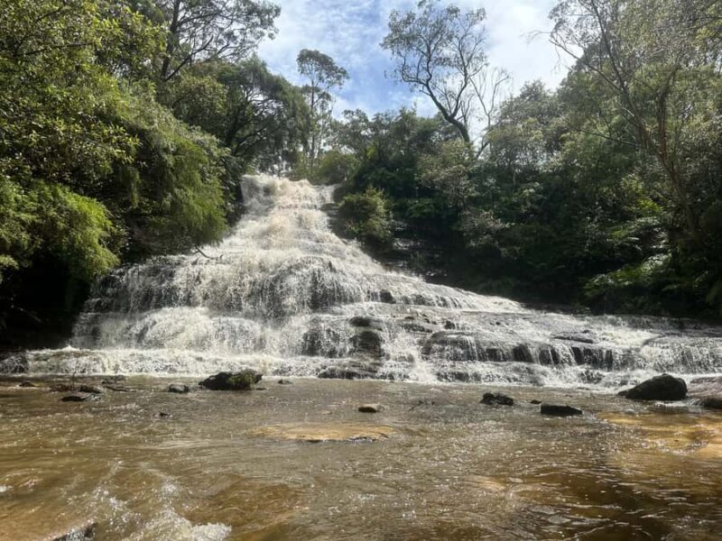 Blue Mountains: Katoomba Cascades & Falls Guided Hike - What to Expect from the Katoomba Cascades & Falls Guided Hike