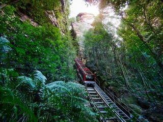 Blue Mountains Premium Day Tour with Scenic World and Wildlife Park - Who will get the most from this tour