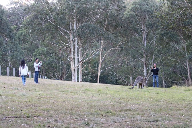 Blue Mountains Private Charter - Three Sisters Lookout Visit