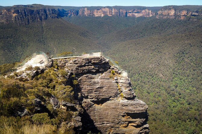 Blue Mountains Private Charter - Reviews: Ratings and Feedback