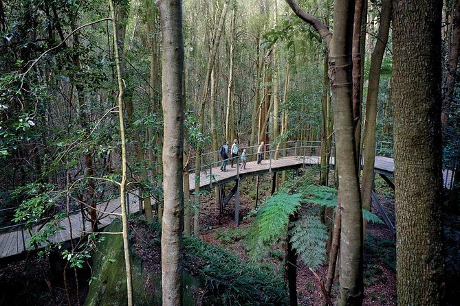 Blue Mountains PRIVATE Day Tour With Wildlife Park. - Minimum Travelers