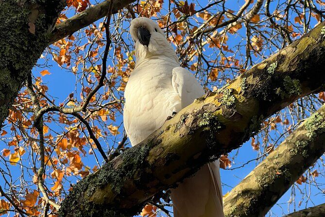 Blue Mountains Private Group Day Tour from Sydney - Who Is This Tour Perfect For?