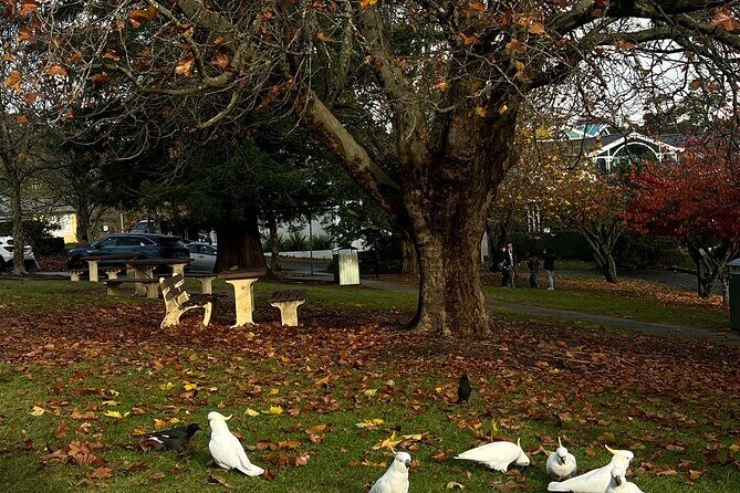 Blue Mountains Private Group Day Tour from Sydney - FAQ