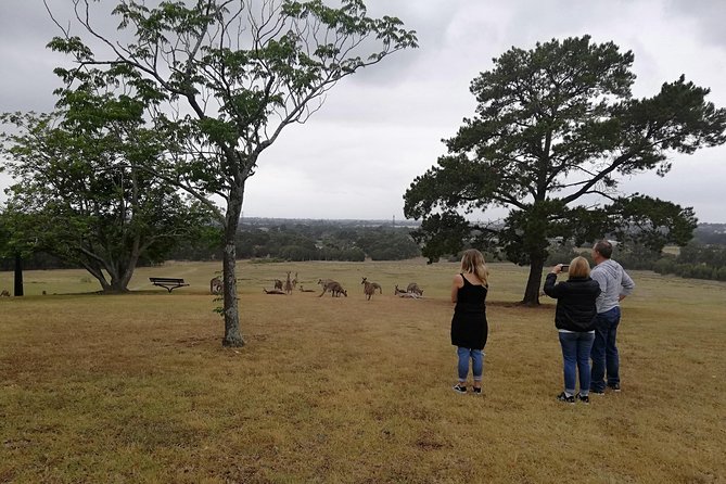 Blue Mountains Private Sightseeing Tours - Traveler Photos