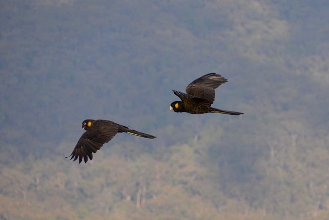 Blue Mountains Private Tour - End Point and Pickup Details