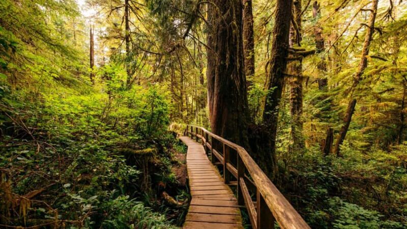 Blue Mountains Private Tour from Sydney - FAQ