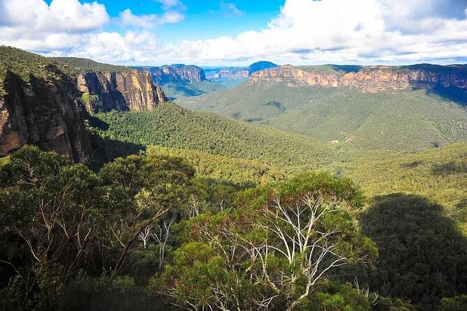 Blue Mountains Private Tour From Sydney - The Sum Up