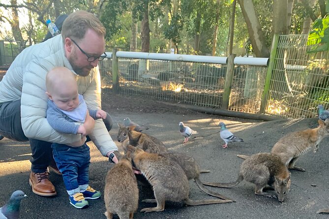 Blue Mountains Private Tour From Sydney, & Featherdale Aussie Animal Park Option - Highlights of the Blue Mountains