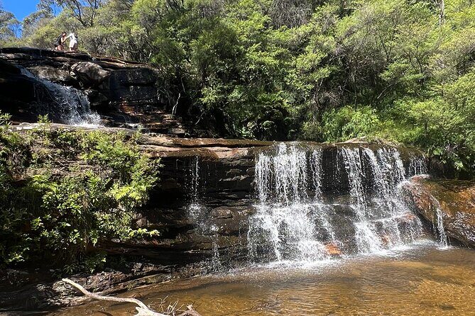 Blue Mountains Private Tour & Hidden Gems, Pick up & Drop off - FAQ