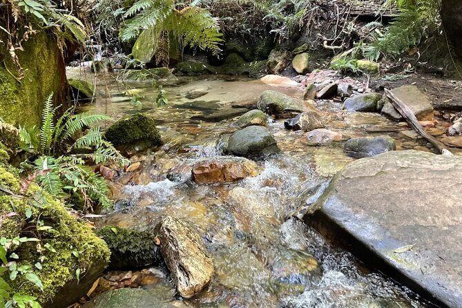 Blue Mountains Private Tour & Memorable Gems & wild marsupials - Good To Know