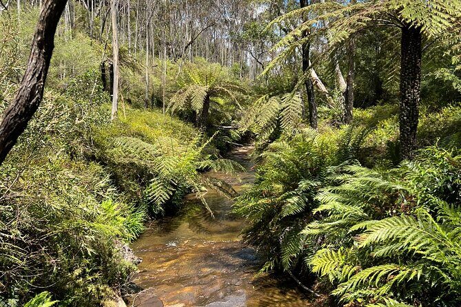 Blue Mountains Private Tour & Memorable Gems & wild marsupials - FAQ