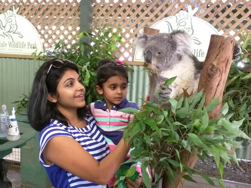 Blue Mountains private tour with Featherdale Wildlife Park - Good To Know