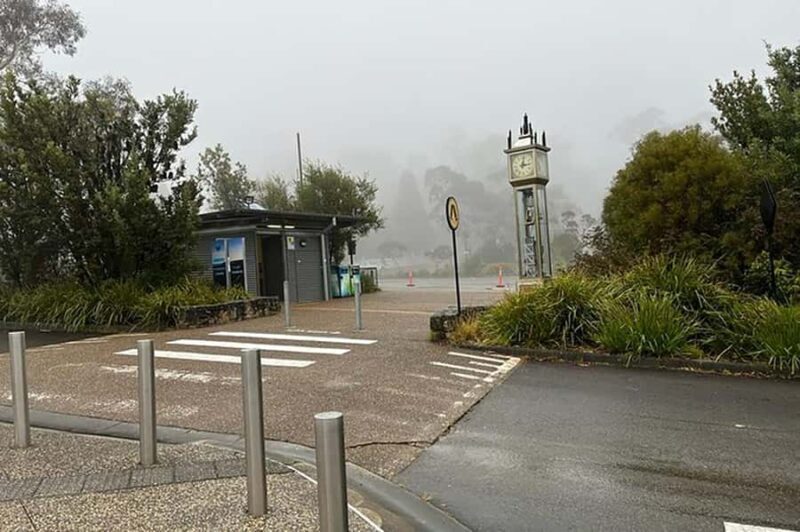 Blue Mountains: Private Tour with Wildlife and River Cruise - Analyzing the Value