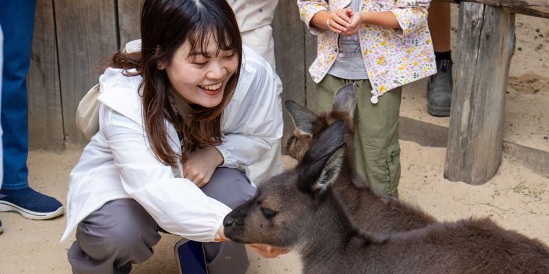 Blue Mountains Scenic World rides & Wildlife Tour from Sydney - Scenic World is the main event, but queues count