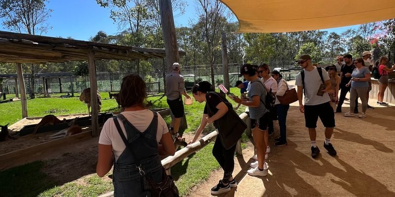 Blue Mountains Scenic World rides & Wildlife Tour from Sydney - What the price gets you, and what it does not