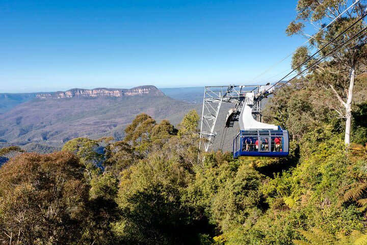 Blue Mountains Scenic World Ticket - Work out the real cost and the trip from Sydney