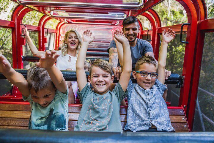 Blue Mountains Scenic World Ticket - Know the practical details before you go