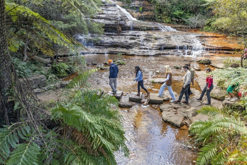 Blue Mountains Scenic World, Wildlife & Rivercruise Small Group Tour - The ferry back to Circular Quay