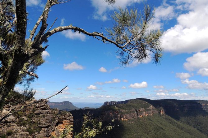 Blue Mountains Small-Group Insider Tour From Sydney - Pickup and Transportation