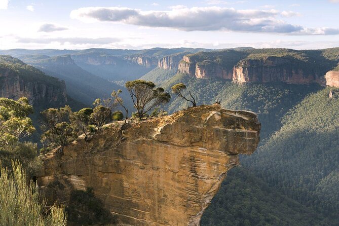 Blue Mountains Small-Group Insider Tour From Sydney - Wildlife and Nature Experiences
