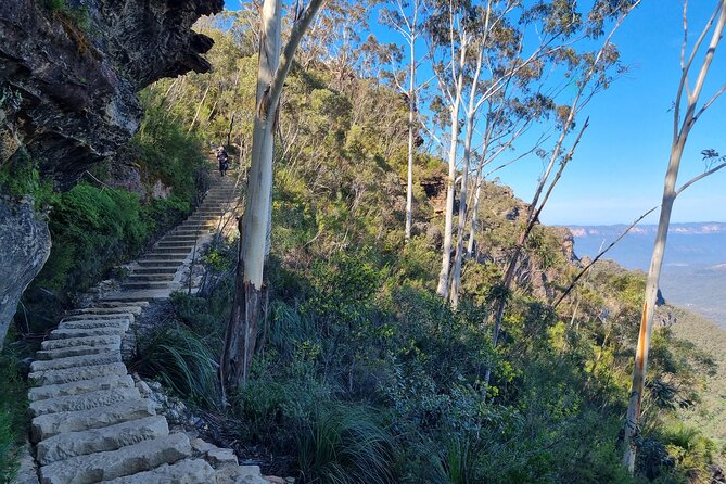 Blue Mountains Small Group Tour - Experienced Tour Guide