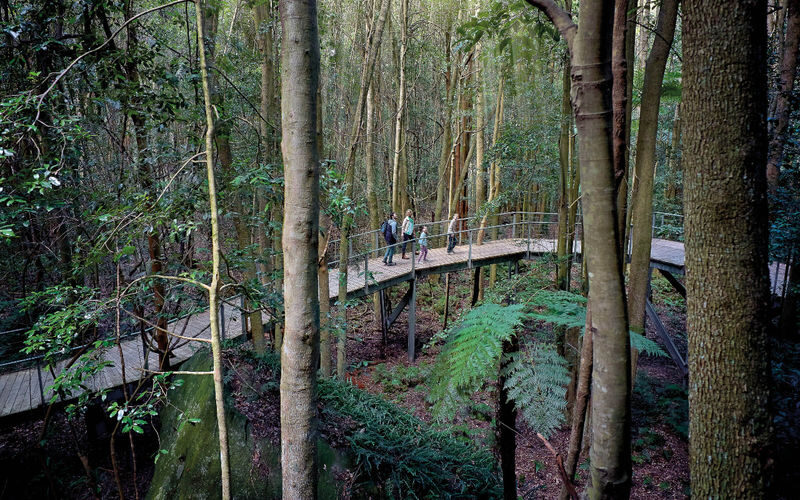 Blue Mountains Steam Train, Scenic World and Three Sisters Tour - Two hours at Scenic World