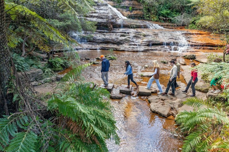 Blue Mountains Sunset & Wildlife Tour - Three Sisters & Waterfalls - Dusk wildlife: a bonus, not the main event
