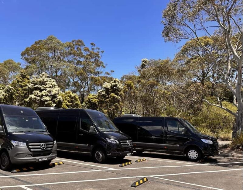 Blue Mountains Tour, Katoomba Falls & Cockatoos Small Group - Final Thoughts: Who Will Love This Tour?