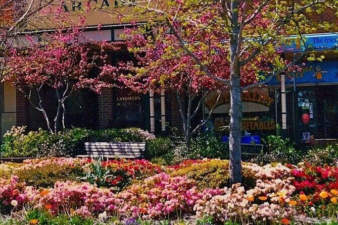 Blue Mountains Tour & Main Attractions & Suv Pick up & drop off - FAQs  