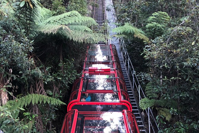 Blue Mountains Tour (ScenicWorld) - Pickup Details