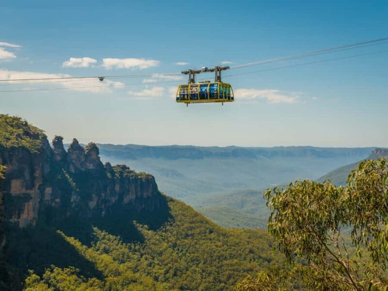 Blue Mountains Tour w/Lunch: Scenic World, Zoo & Koala Photo - Practical Tips for Future Travelers