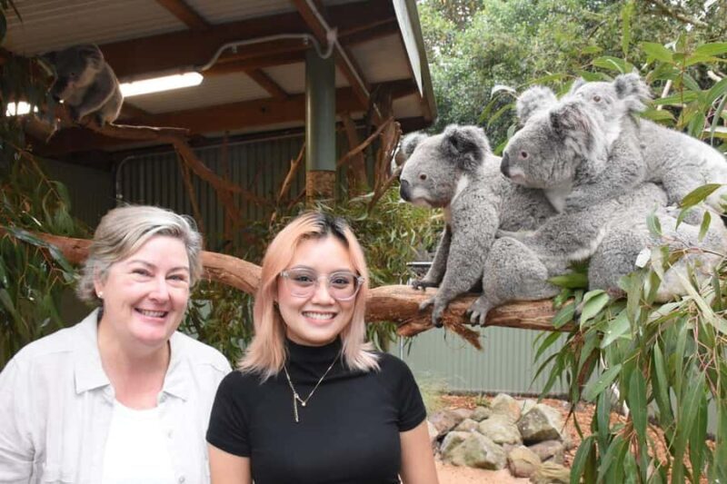 Blue Mountains Tour with Scenic World, Zoo&Bilingual Driver - Authentic Experiences From Reviewers
