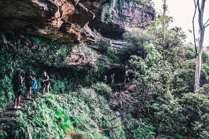 Blue Mountains Unique Small-Group Day Adventure With Picnic Lunch - Additional Information