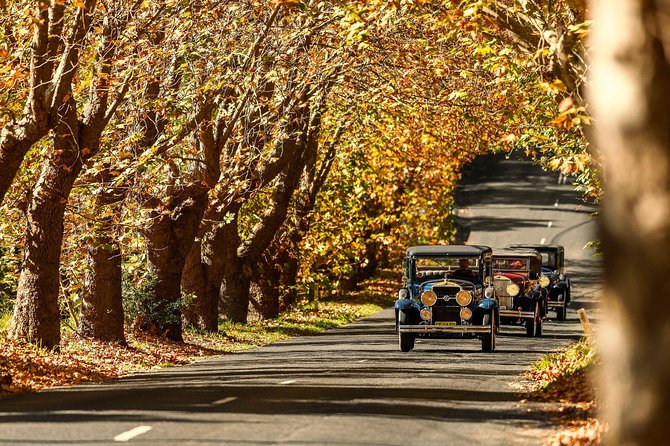 Blue Mountains Vintage Cadillac Tour With Local Guide - Common Questions