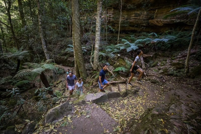 Blue Mountains, Waterfalls and Wildlife Park Day Tour - Blue Mountains viewpoints and the Three Sisters