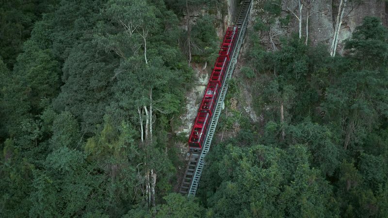 Blue Mountains with Scenic Rides & Sydney Zoo Tour - The ferry back to Circular Quay
