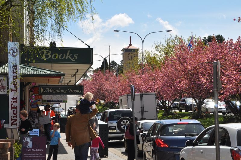 Blue Mountains with Scenic Rides & Sydney Zoo Tour - Who should book this Blue Mountains day trip?