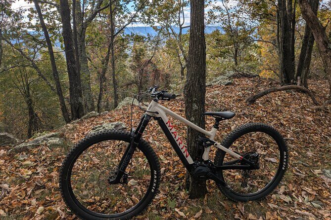 Blue Ridge Mountain E Bike Tour - Who Is This Tour Best For?