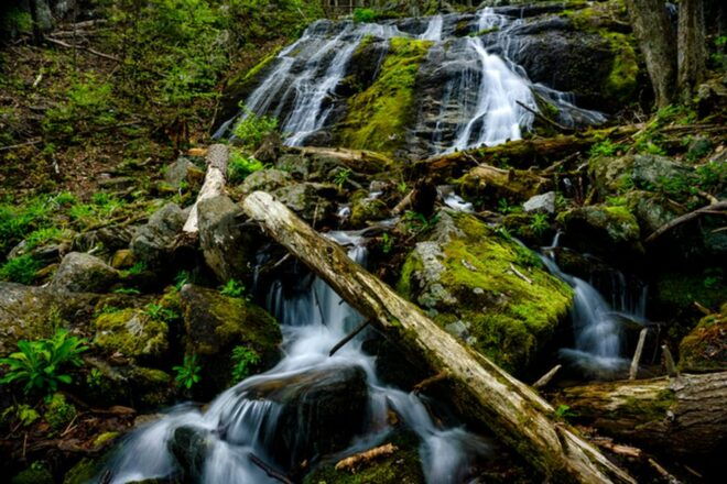 Blue Ridge Parkway (Virginia) Driving Tour With Audio Guide - Customer Reviews and Testimonials