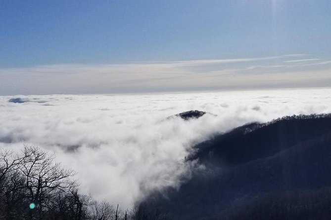 Blue Ridge Parkway Waterfalls Hiking Tour From Asheville - Recommendations and Worthiness