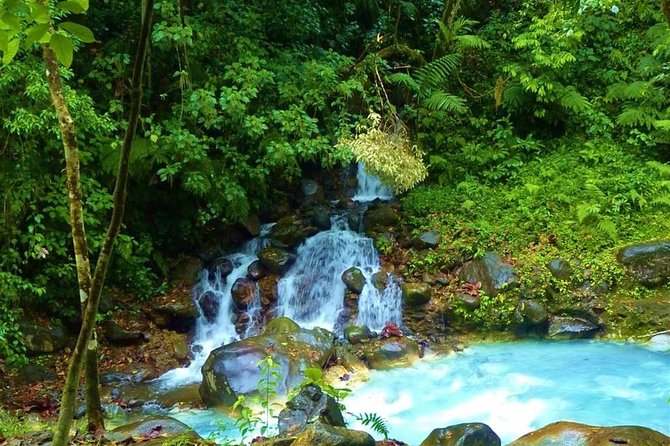 Blue River Hot Springs Adventure in Rincon De La Vieja From Dreams Las Mareas - Tour Overview