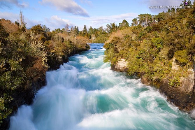 Blue Springs and Redwood Forest and Huka Falls Private Tour - Pricing and Availability