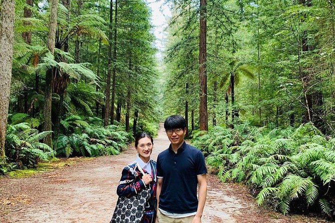 Blue Springs and Redwood Forest and Huka Falls Private Tour - Questions and Help